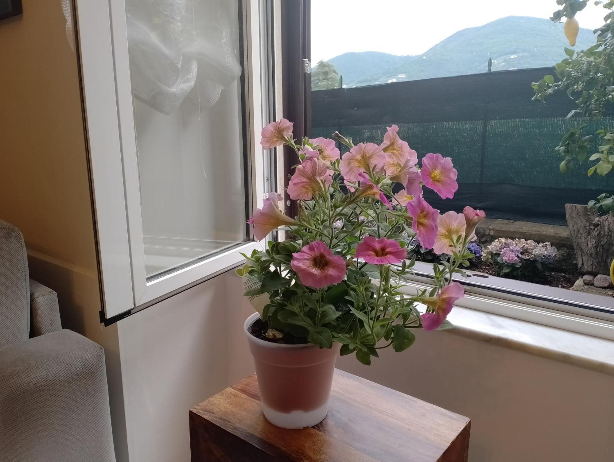 Appartamento Casa Veve' La Spezia Esterno foto